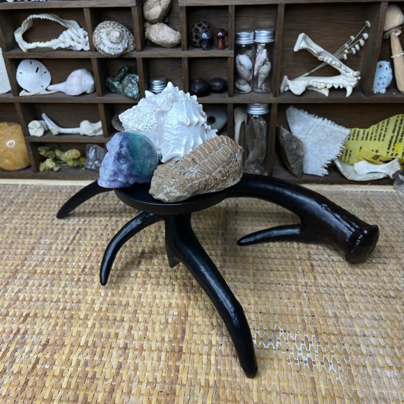 Antler Candle Holder for Pillar Candles Altar Incense Stand Witchy Decor - Picture 8 of 9